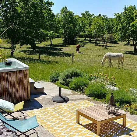 Holiday home La Vayssade - Grand De Charme - 14 Pers - Piscine & Jacuzzi