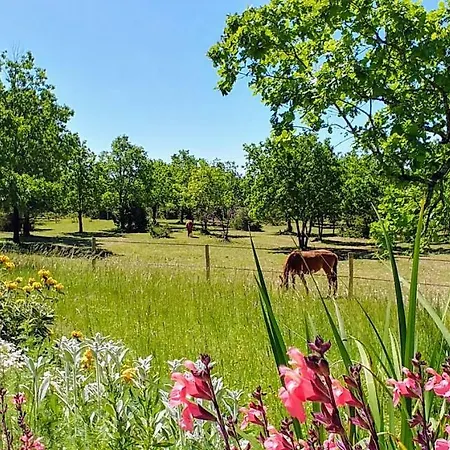 La Vayssade - Grand De Charme - 14 Pers - Piscine & Jacuzzi * Lalbenque