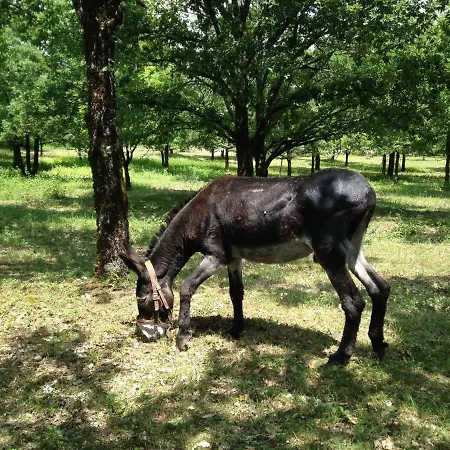 펜션 La Vayssade - Grand De Charme - 14 Pers - Piscine & Jacuzzi *