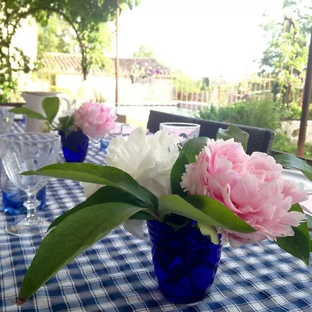 La Vayssade - Grand De Charme - 14 Pers - Piscine & Jacuzzi Holiday home