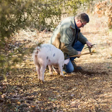 La Vayssade - Grand De Charme - 14 Pers - Piscine & Jacuzzi Holiday home Lalbenque